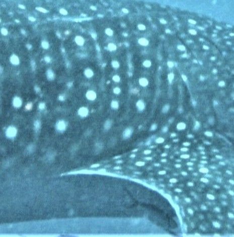 933ac14d-d25a-41b5-aa08-6c657a1906c5