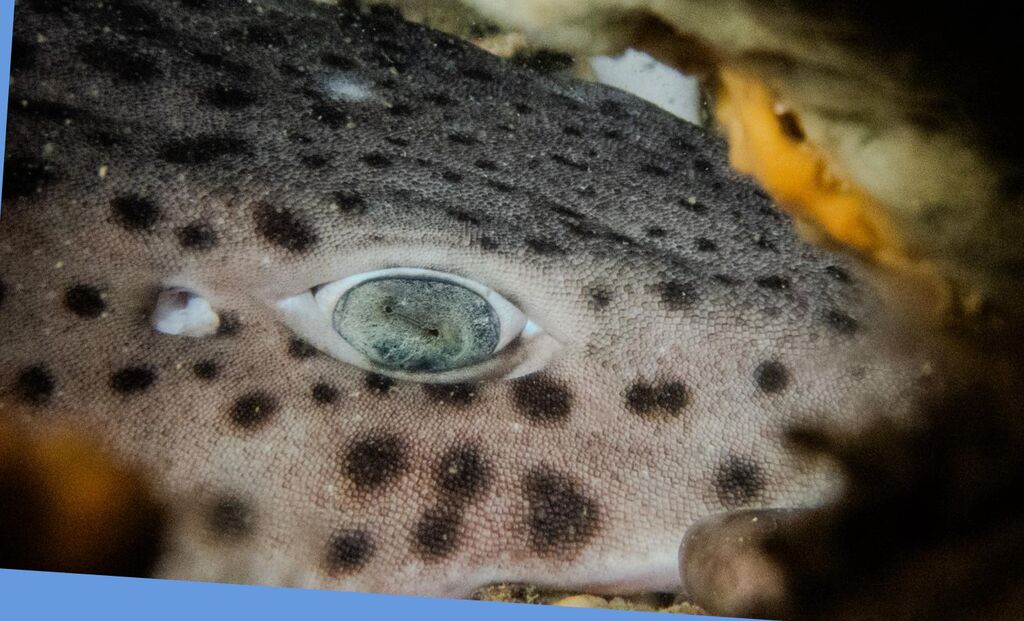 51f70797-b6e4-4b5e-944b-353a105df54e