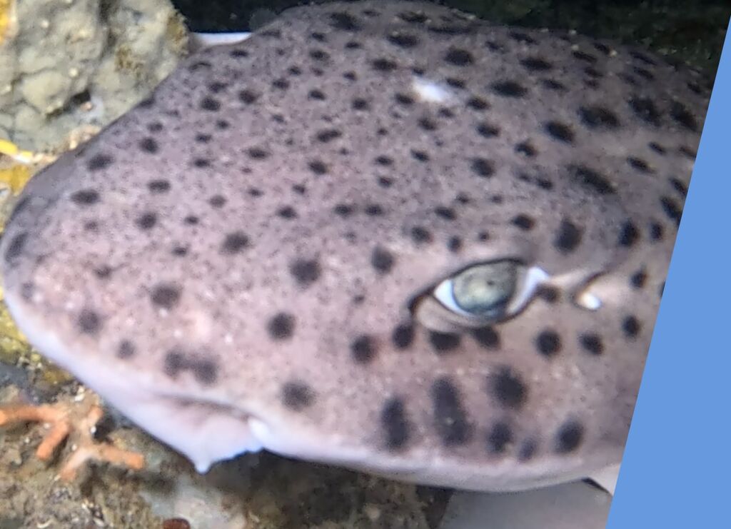 51f70797-b6e4-4b5e-944b-353a105df54e