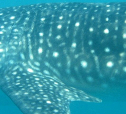 ff529d50-be77-4e65-9ed4-5c96898cd4ca