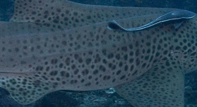 46f66e85-4ad7-4868-8658-d98ba2b02199