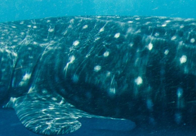 8f5f9e40-cabe-4b6b-918c-6e5a8c1e451d