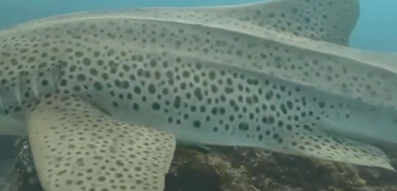 f008a890-42b2-4a73-ac53-20a14d593854