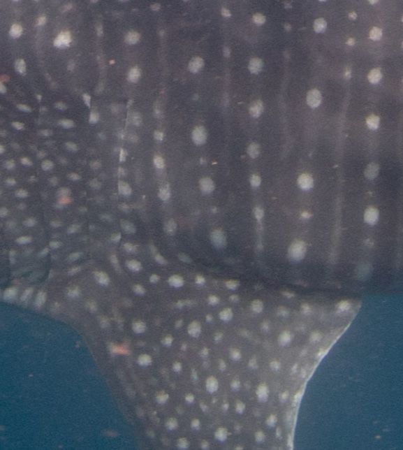 ed0f411c-12c8-499c-9c6d-b235bb5bdd75