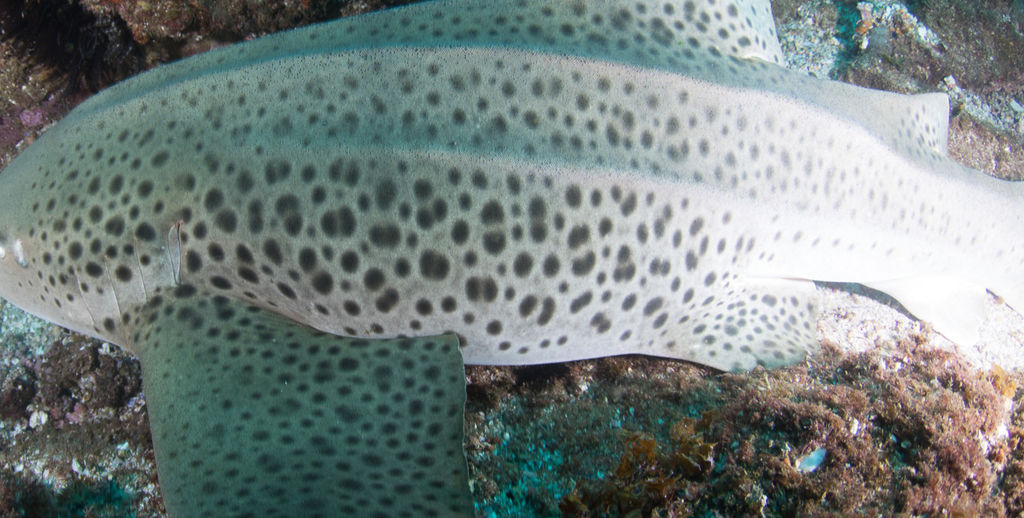 2fb72a87-0f8b-406d-9ade-bf1d2fa8f619