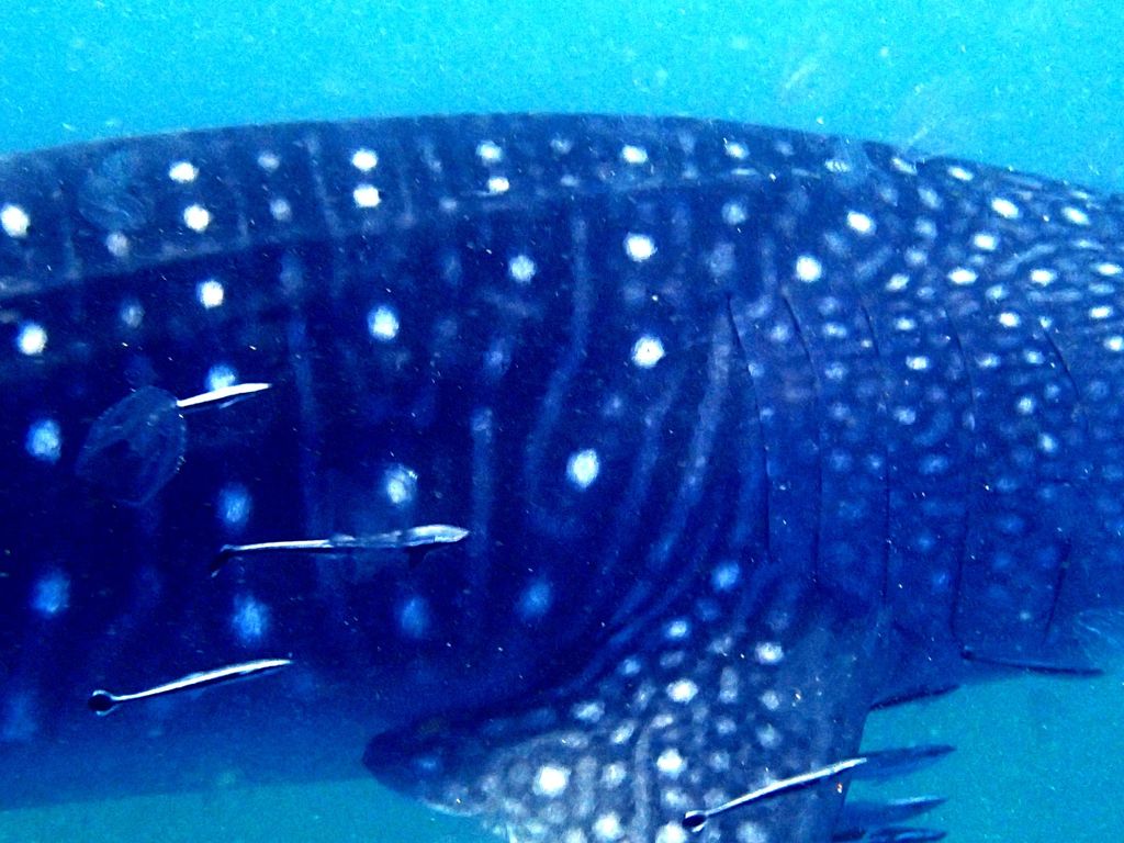 12f96c66-ef25-48bd-906a-8597d849fb7d