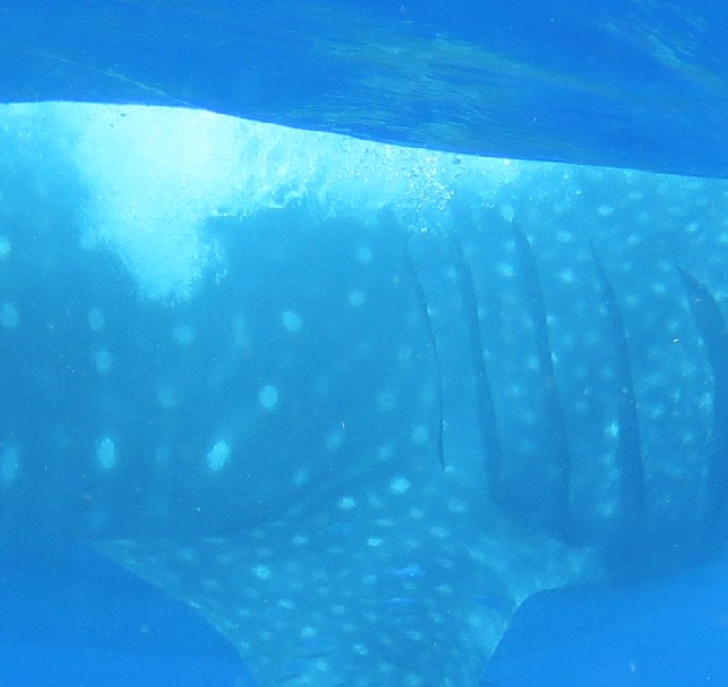 f5ad9d15-1b97-4447-8e52-3c848ee4b967