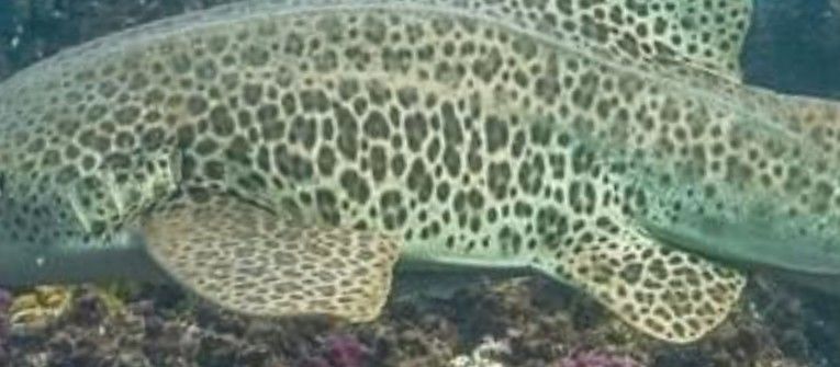 7b71f9dd-4711-4f19-91dc-4370a5770553