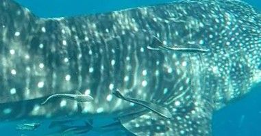 2935b34d-12ac-410b-a2f4-a232cabfc477