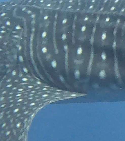 b28792cf-587b-4c95-bca1-dee0cf426282