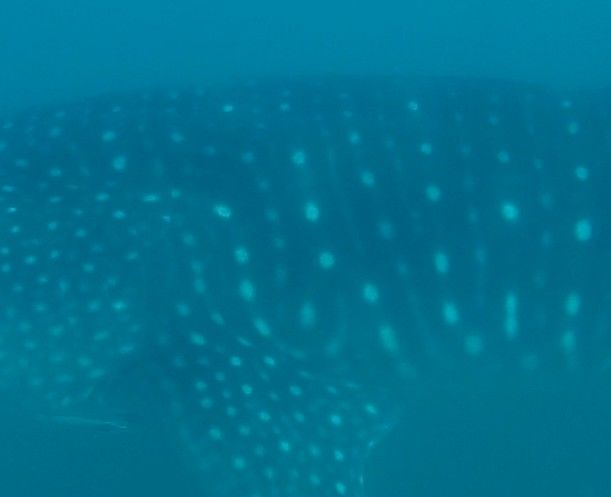 205957ff-fa7c-476a-a4db-c5a86190509b