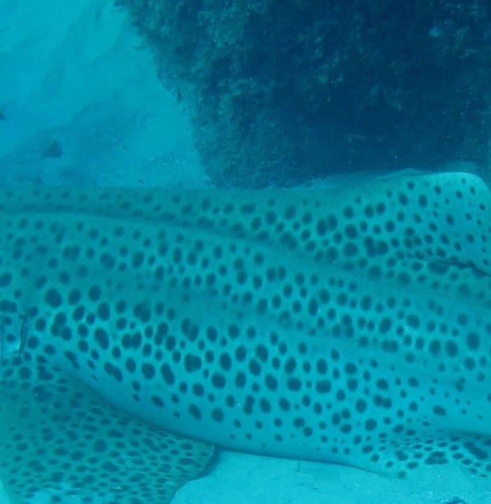 69fae4bb-8d4b-40fd-92d9-a3ecf3e741f9