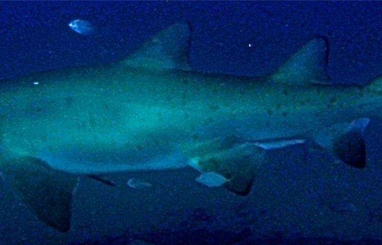 0a707976-f3d2-4bb5-bbf8-f8af0ad3e55a