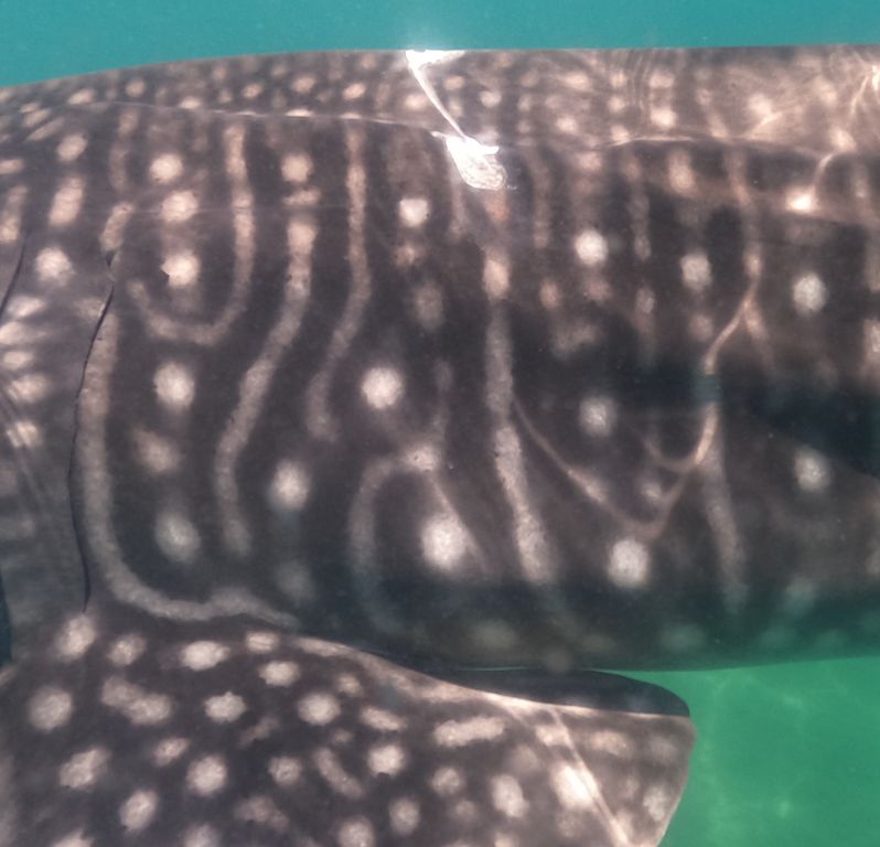 38e709e2-ab25-46da-a657-32929b284109