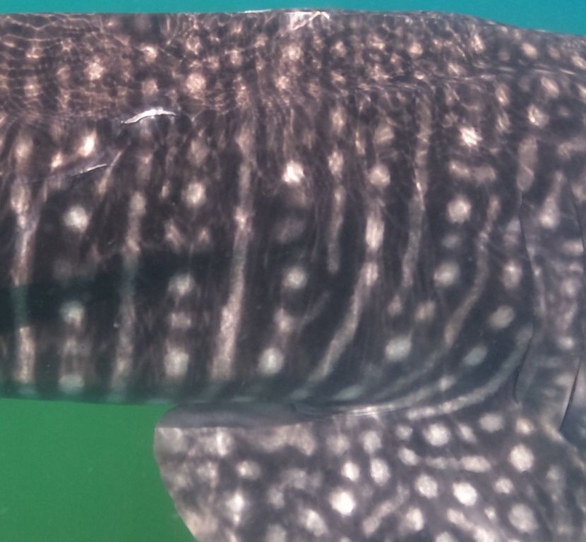 38e709e2-ab25-46da-a657-32929b284109