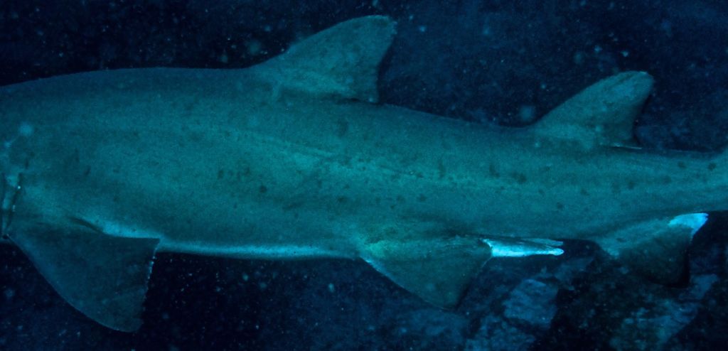 7d40b175-7c15-4cfb-835c-af62042b05b7