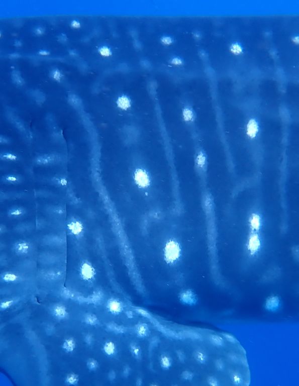 72103c6d-d8b5-4a19-9b21-45eddfd81bb4