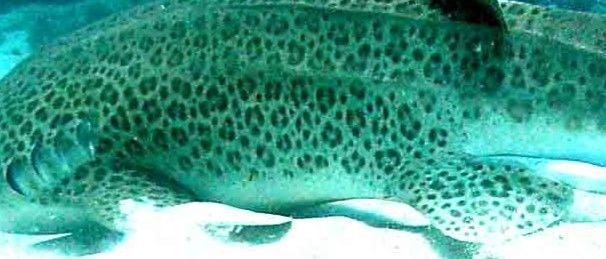 13f80fe7-9147-485e-9e0e-d68ed7ef7f1a