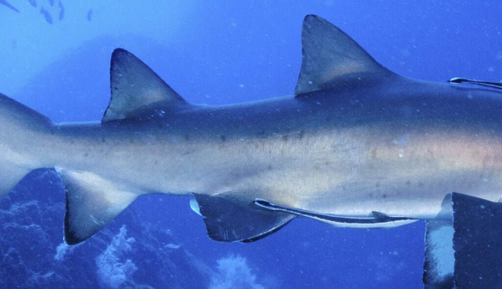 7bab540e-4383-498e-84fb-a1807d5c7470