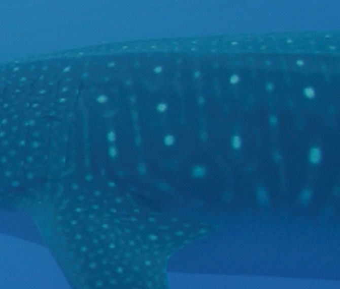 5cc6aa42-88e3-4331-9412-641b23d09538