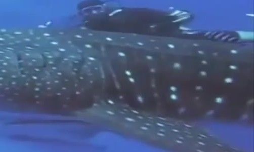 a86d55c5-1bf2-4bc8-9c76-e87047ff0578