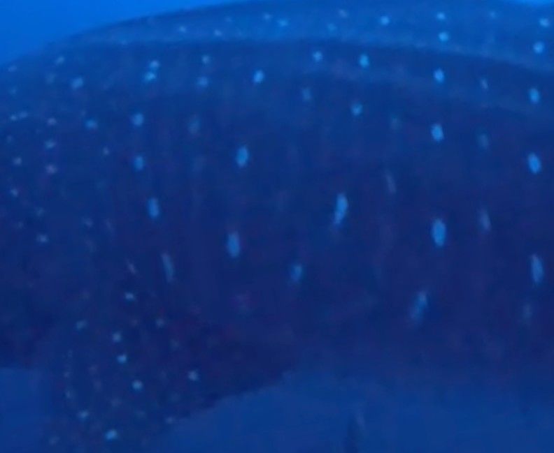 68cddee3-a5f7-459c-b0a6-9bdb066c1d2e