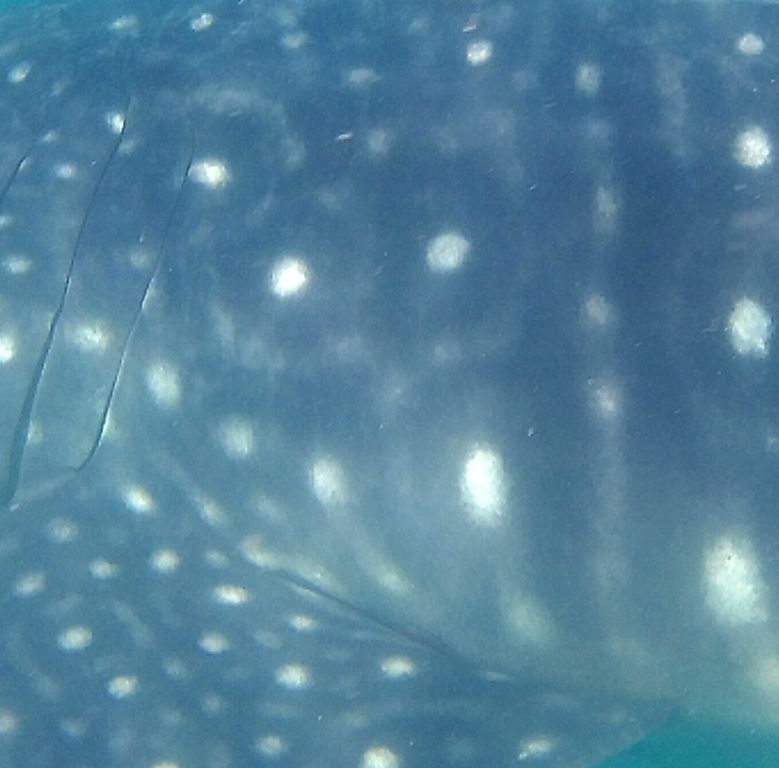 69167bff-253a-445a-bc0d-daaf0bd6fe16