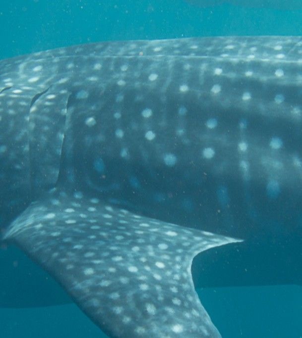 da61d791-3279-439c-b03b-d051e0627c9c