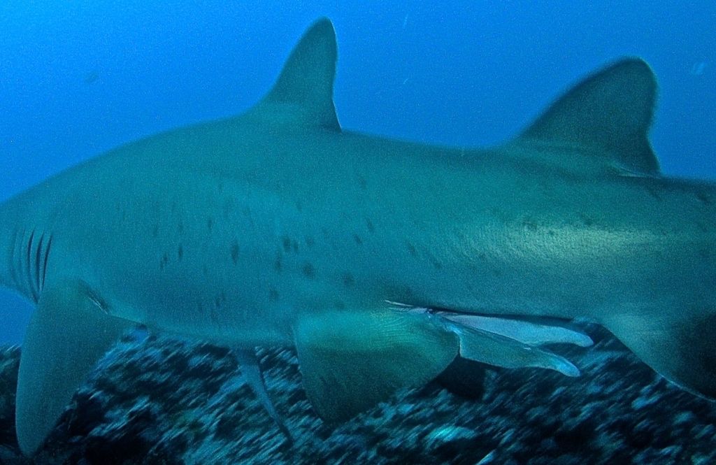 e87a2a95-aab5-43f7-b165-a0d2a7e32b80