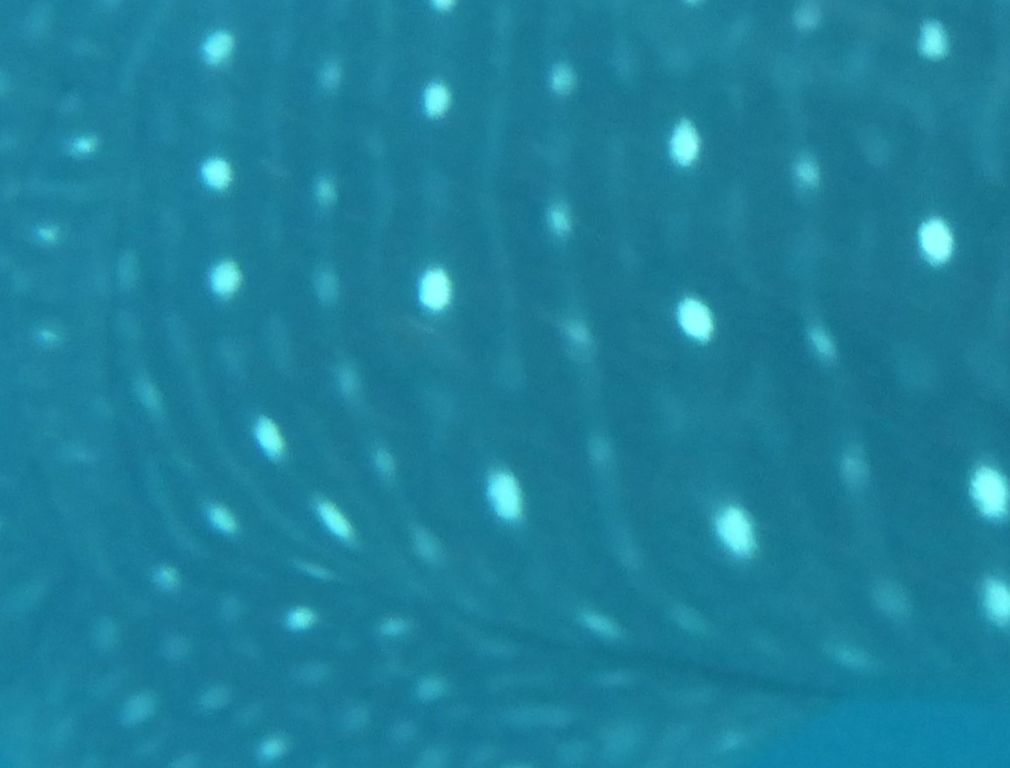 4d7dafdc-7ece-4eb1-bcc4-b913178d1448