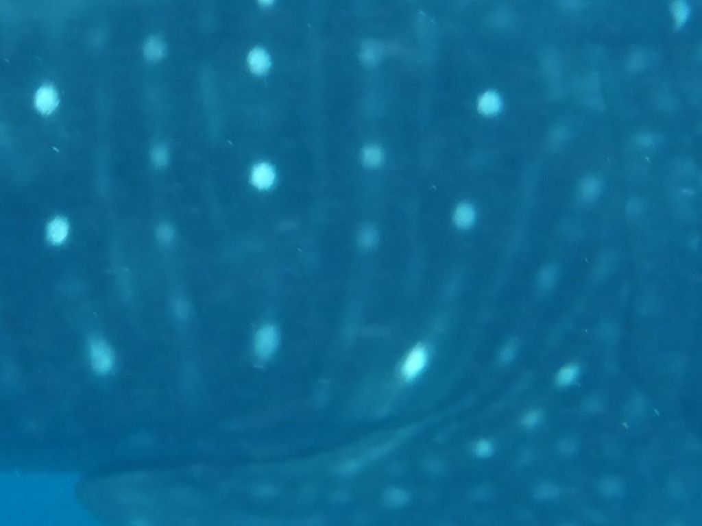 4d7dafdc-7ece-4eb1-bcc4-b913178d1448