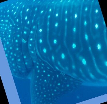 81bdab9c-5acd-484a-b713-ba8550740554