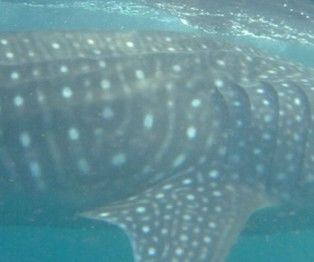 5a71739f-5d90-4175-a2ca-1d7d0717b936