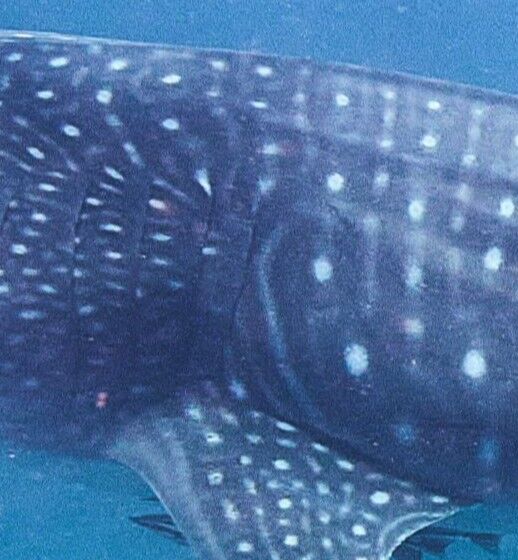 b20a7e20-e675-47a1-80b9-0e3336cb67f6