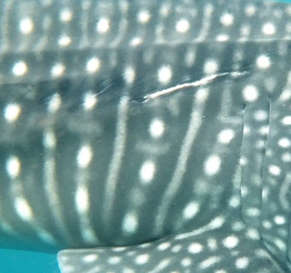 6b18189c-f7d1-4f16-b0a4-6671aed10c96