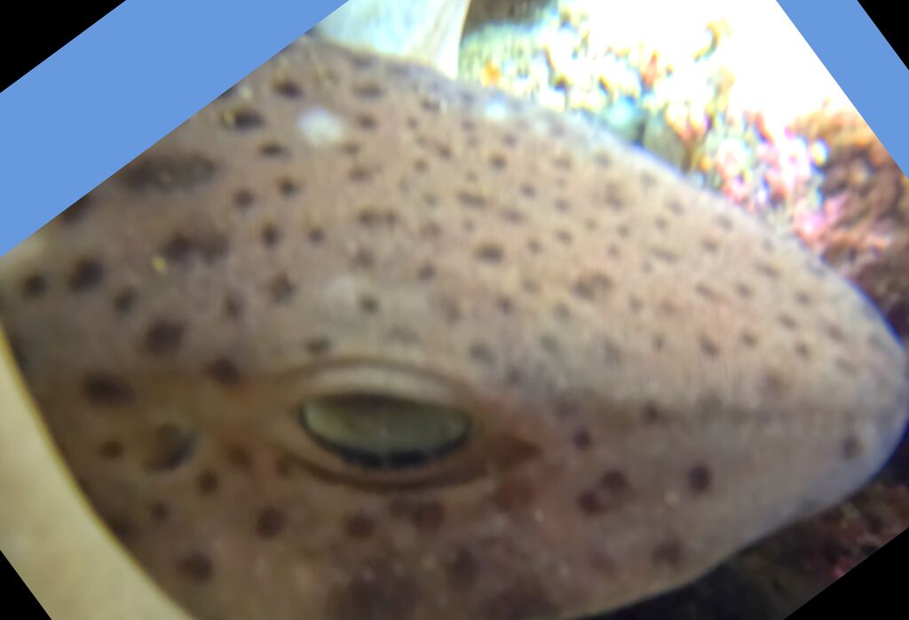 a12f24b8-5a50-4817-b25e-58ce85600c37