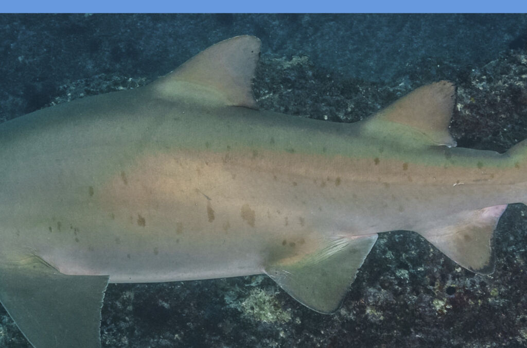 ac129150-b650-4db0-80e2-7dd58f2784aa