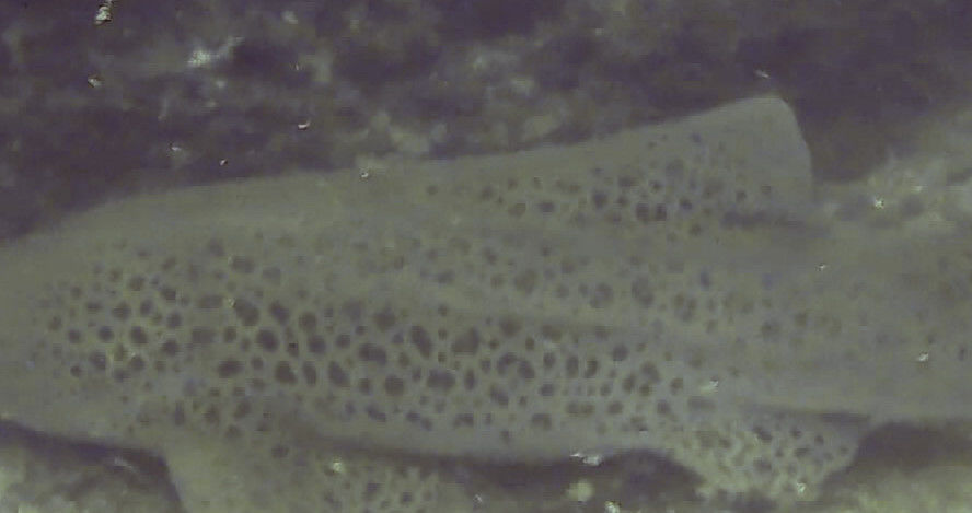 4f88ee21-6fb6-4e86-b05f-c01c48fa28db