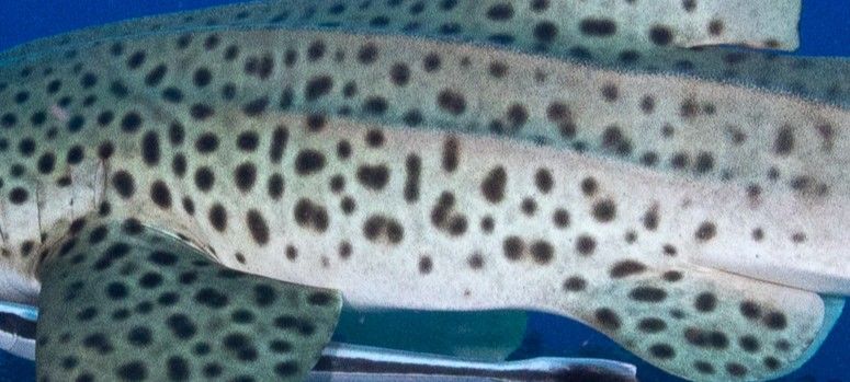 1a51d61e-2b48-480e-8631-2e282a10a59b