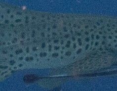 1a51d61e-2b48-480e-8631-2e282a10a59b