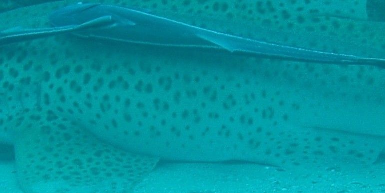 d5d4324b-e97d-4314-85eb-5069f66c98b5