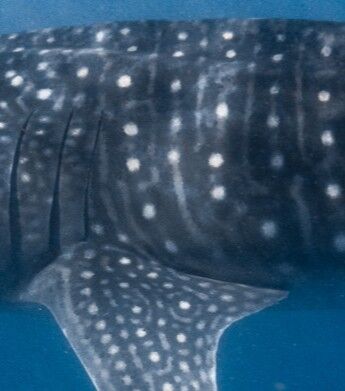 e508b570-aa76-44ad-8805-20635b7c39ad