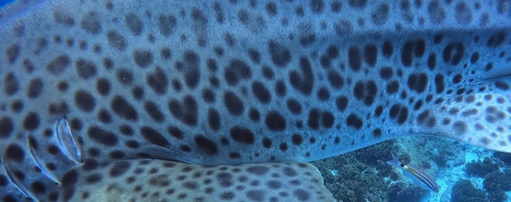 93828a76-6145-4327-ab5b-ec4fa5a10ab0