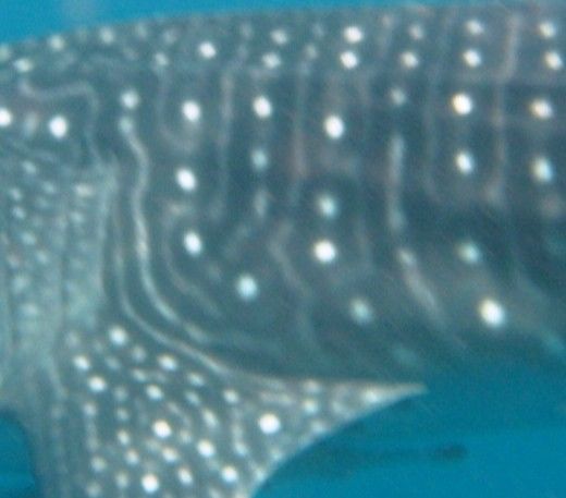 7ac993f4-67dc-4ec7-986a-bec4e938796a