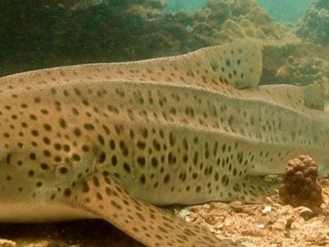 29f85aa6-da19-456f-a97c-5cfcf564913d