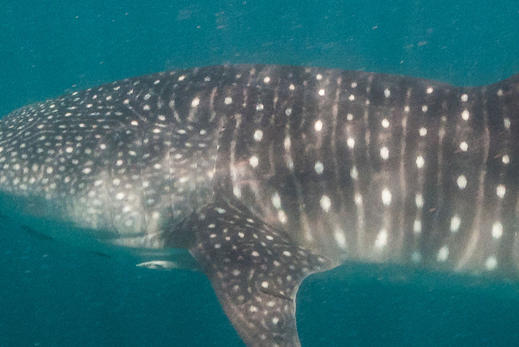 8cd883ff-a04b-4a90-bd3f-03f2d352ddae