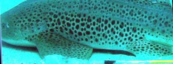 c3e68875-06aa-46eb-b65e-fee62c5fc117