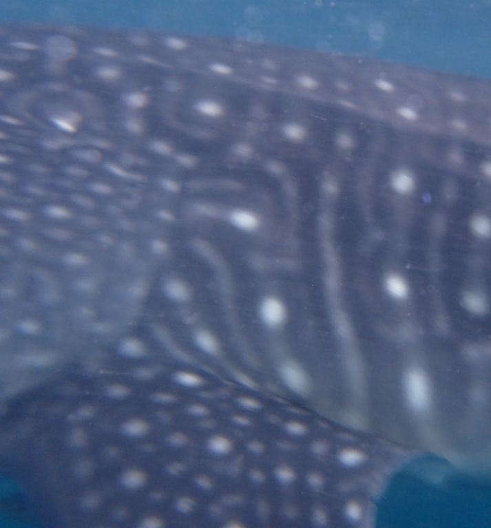 e296b140-971f-4fba-939b-9ed518f0a4f9