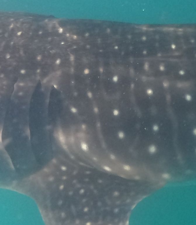 05041a8d-e07d-4126-937b-43852988566d