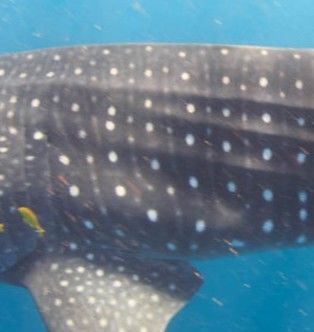 59aa8f5e-afff-43f1-aa66-b060678d7b2f